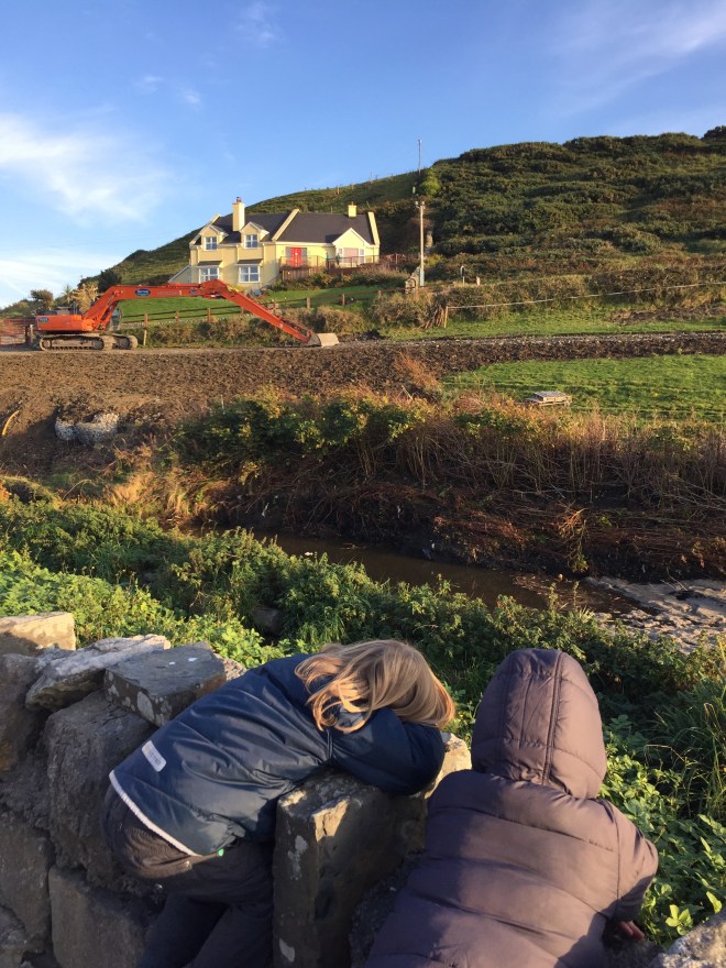 Some people like scenery and some people like diggers